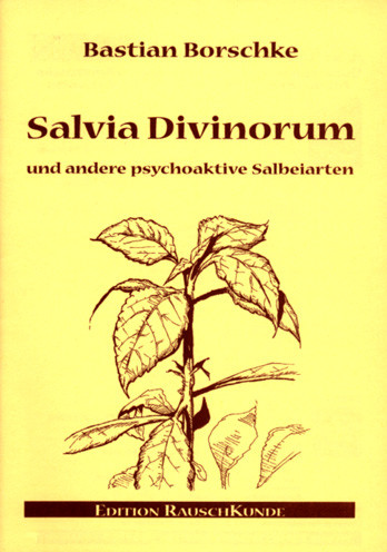 Salvia Divinorum und andere psychoaktive Salbeiarten